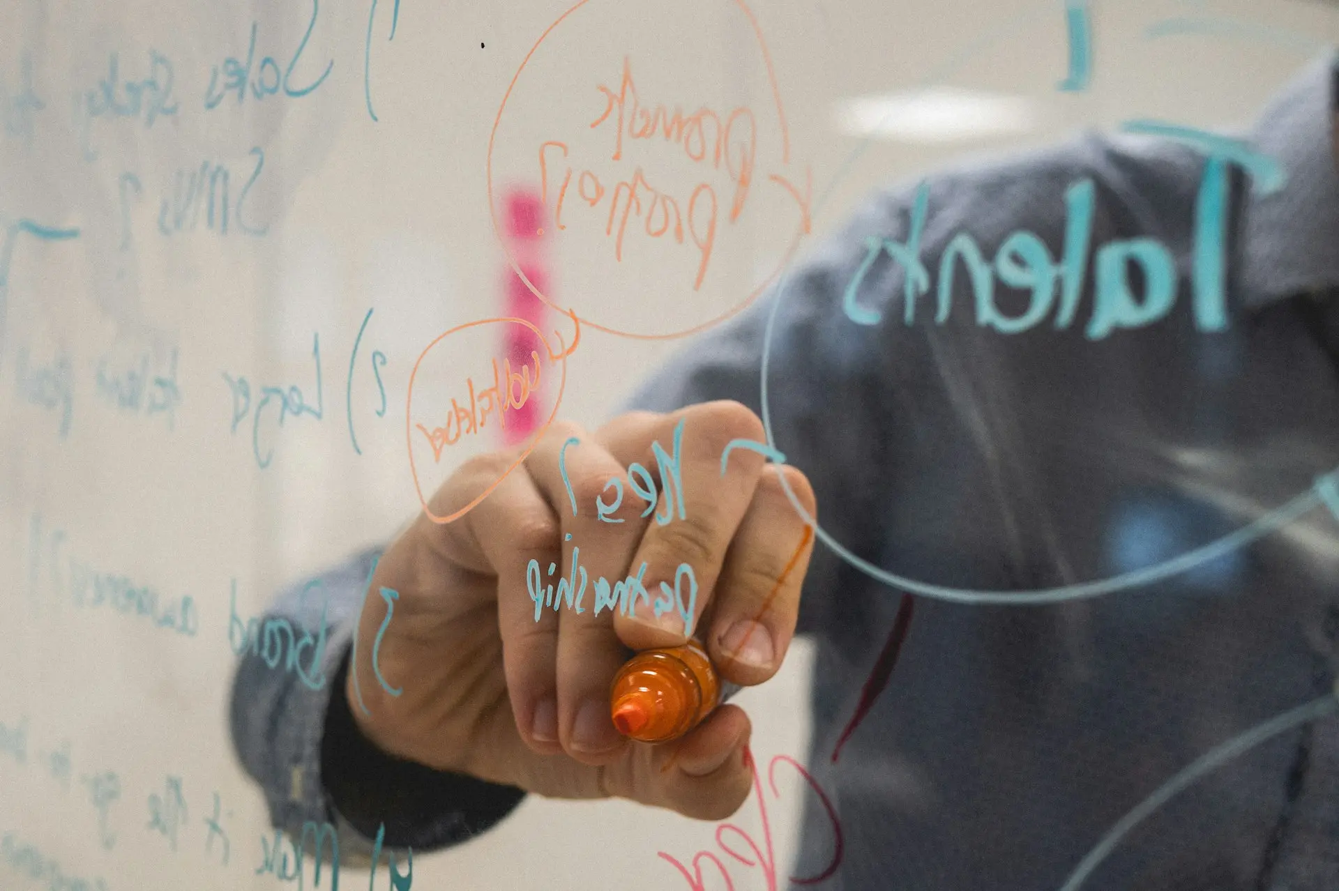 person holding orange flower petals